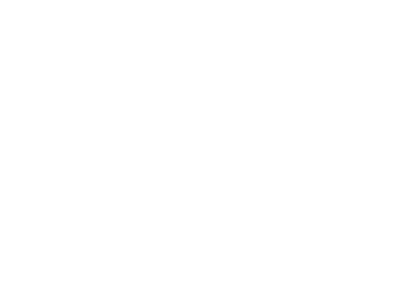 Wybier.ai